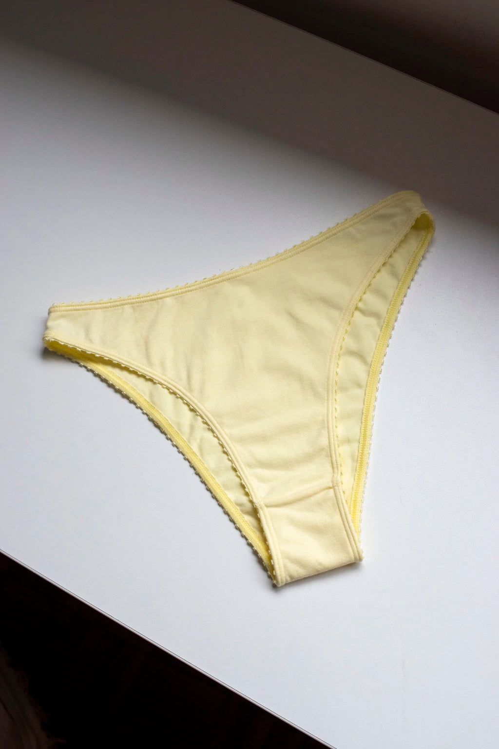 EVA french briefs – swan