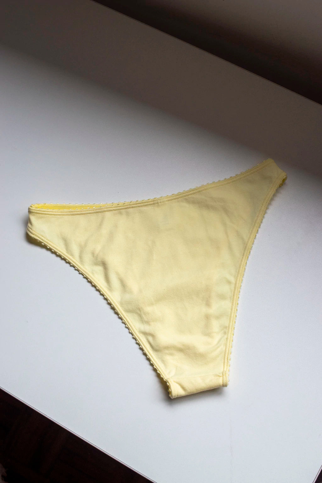 EVA french briefs – swan