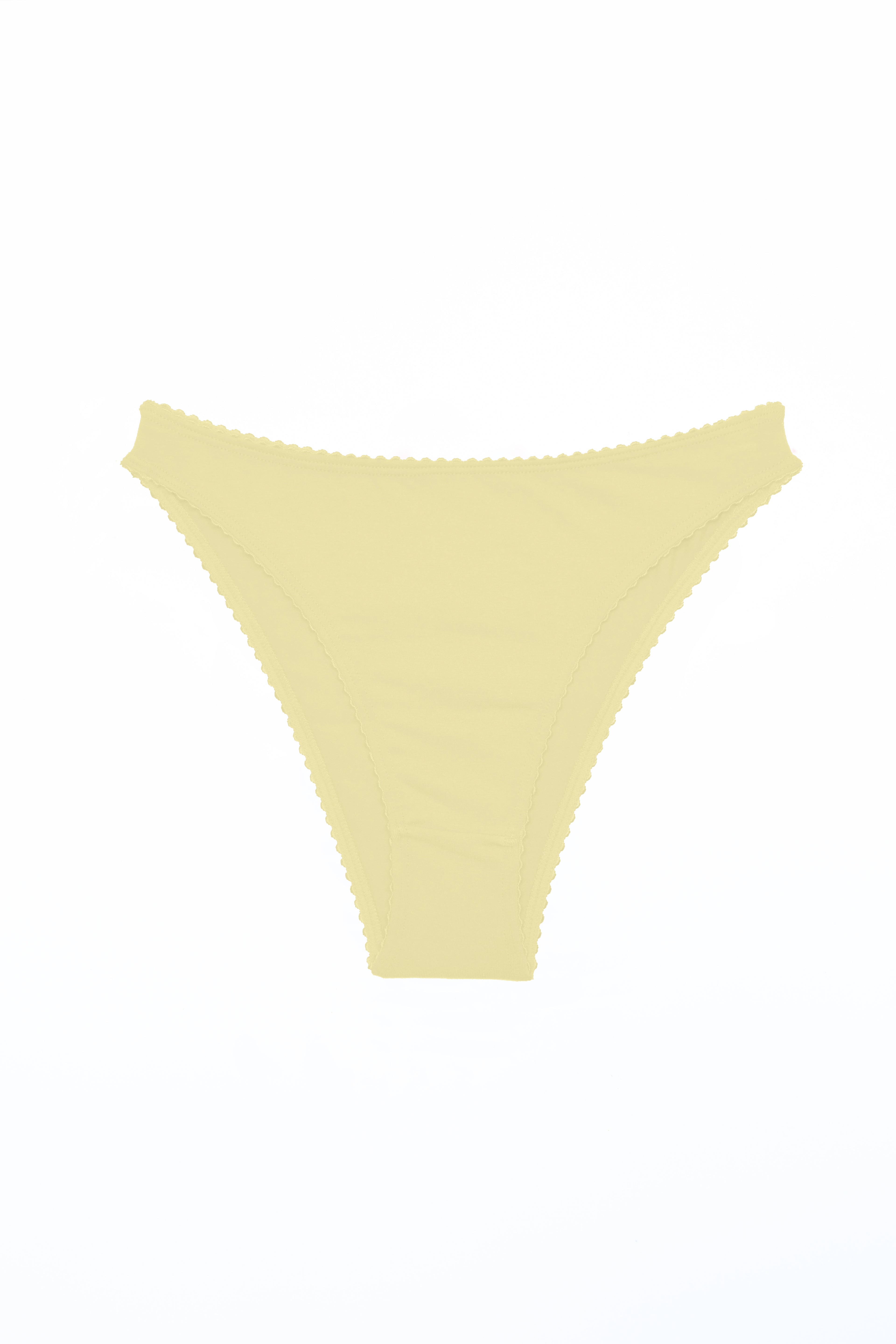 EVA french briefs – swan